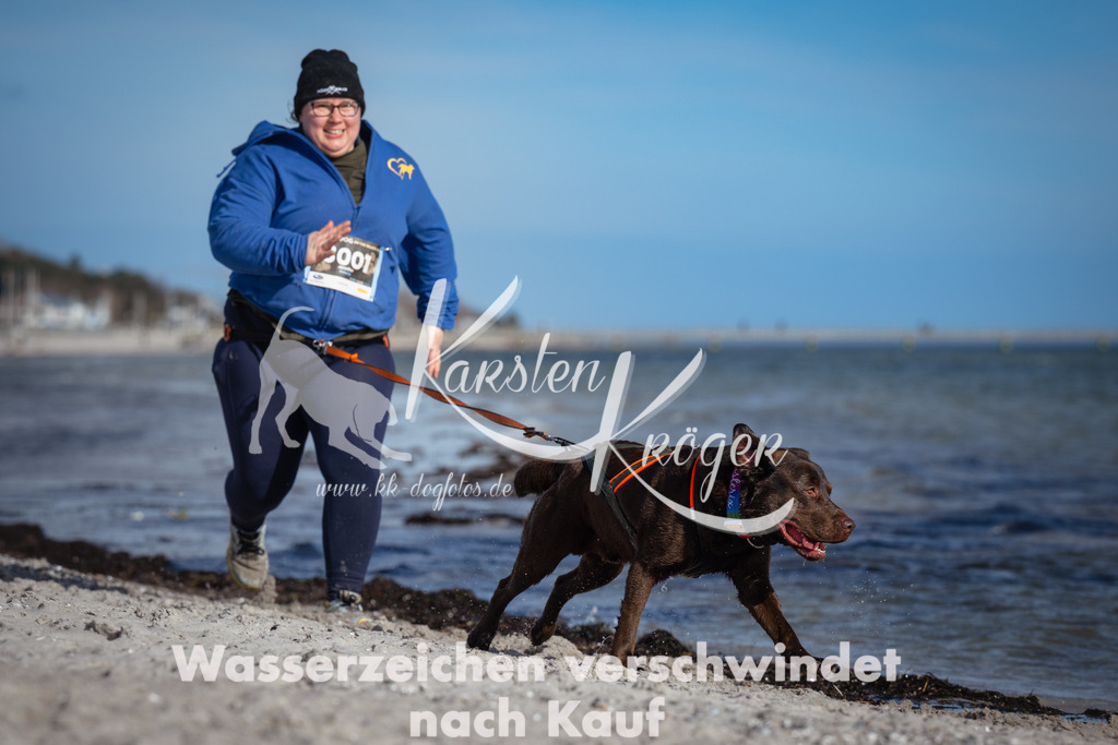 1334_ZZ91993 | kk-dogfotos