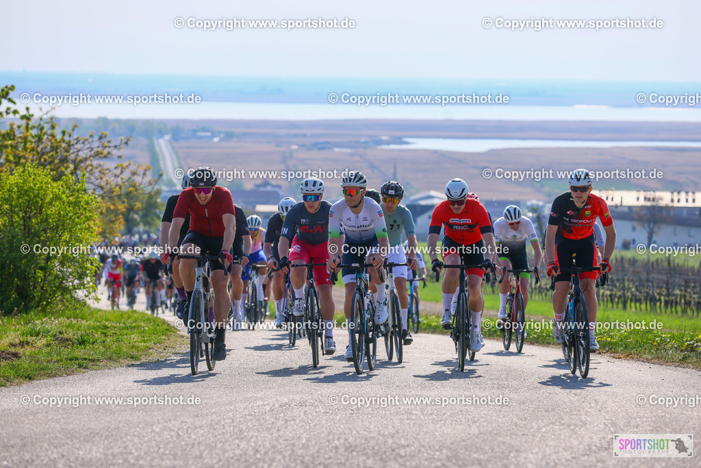 TRA_0077 | Neusiedlersee Radmarathon 2026@sportshot_your_pictrs #yourpictures#roadtowm2029 #nrm #neusiedlerseeradmarathon #neusiedlersee #neusiedlerseetourismus #burgenland #mörbisch #nrm26 #burgenlandtourismus #voglundco #poweredbyburgenlandtourismus #radsport #rad #marathon #ucigranfondo #visitburgenland #ucigranfondoworldseries