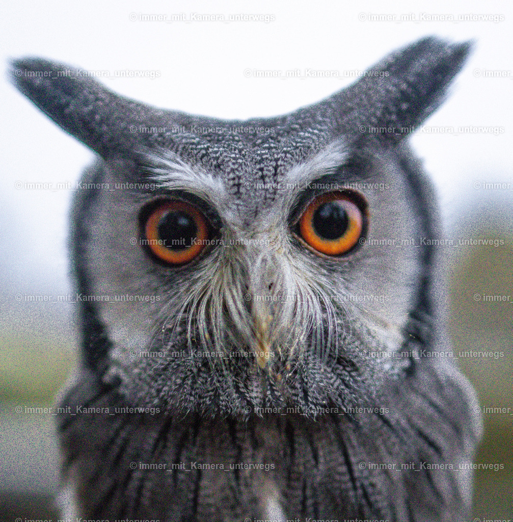 9I4A4388 | immer_mit_kamera_unterwegs