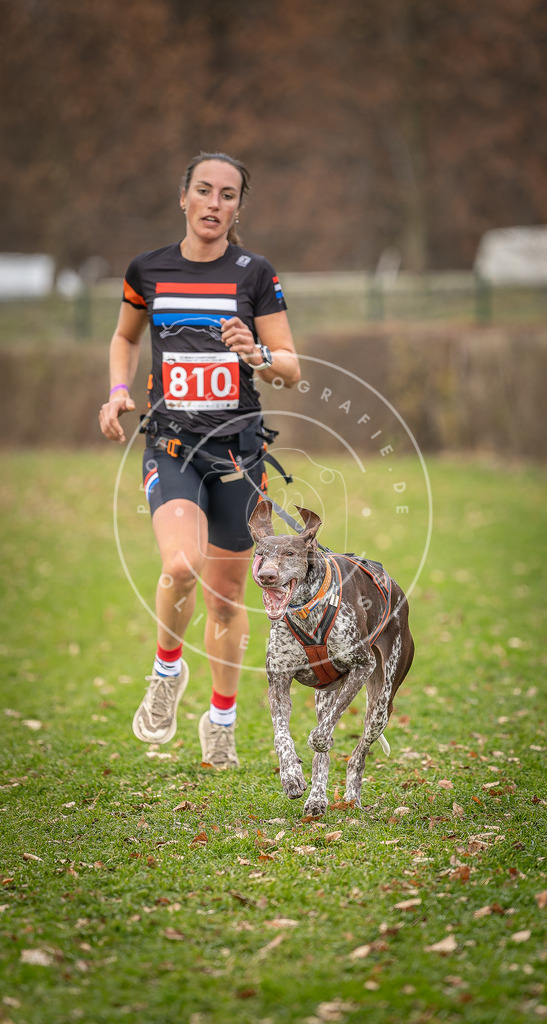 CaniXpix_DV3A6387 | Hundefotografie, Tierfotograf, Pfotenfotografie, Fotoshooting Hund, Hunde Portrait, Hundesport, Hundeportraits, Heideshooting, Hunde, Sportfotograf, Hundefotograf, Turnierhundsport, THS,  - Realisiert mit Pictrs.com
