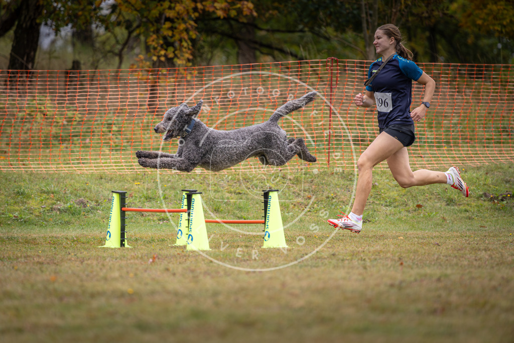Pfotenfotografie_DV3A1412 | Hundefotografie, Tierfotograf, Pfotenfotografie, Fotoshooting Hund, Hunde Portrait, Hundesport, Hundeportraits, Heideshooting, Hunde, Sportfotograf, Hundefotograf, Turnierhundsport, THS,  - Realisiert mit Pictrs.com