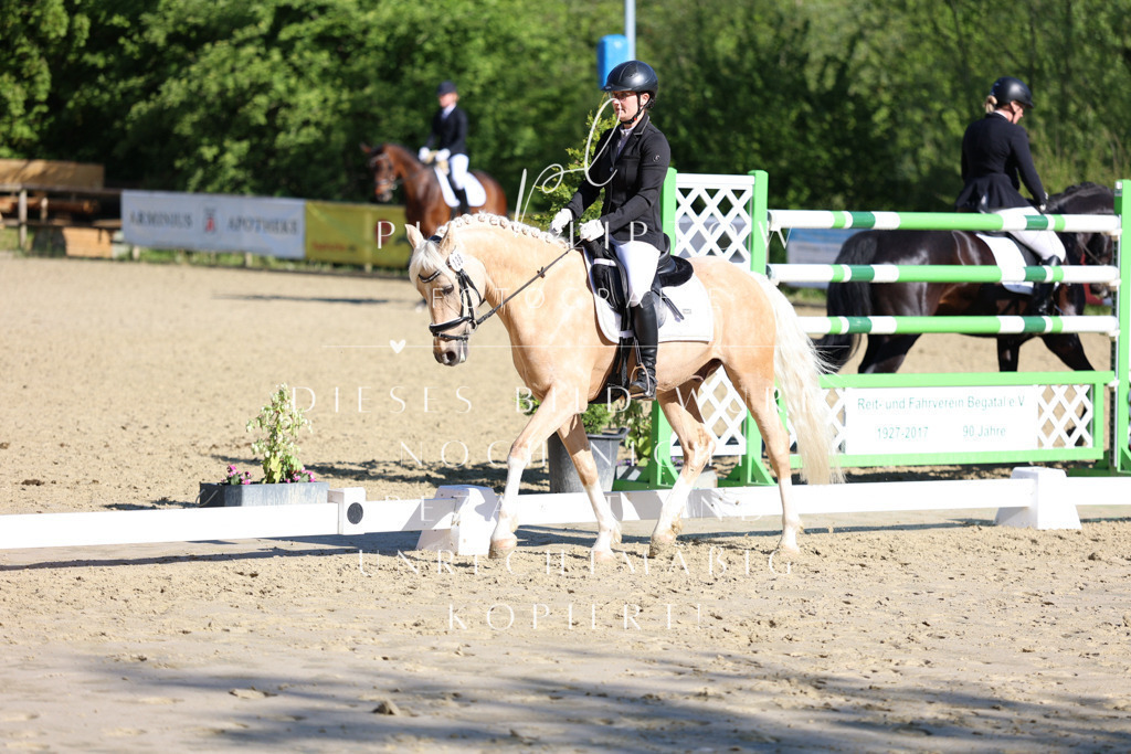 IMGT9659 | pl-fotografie