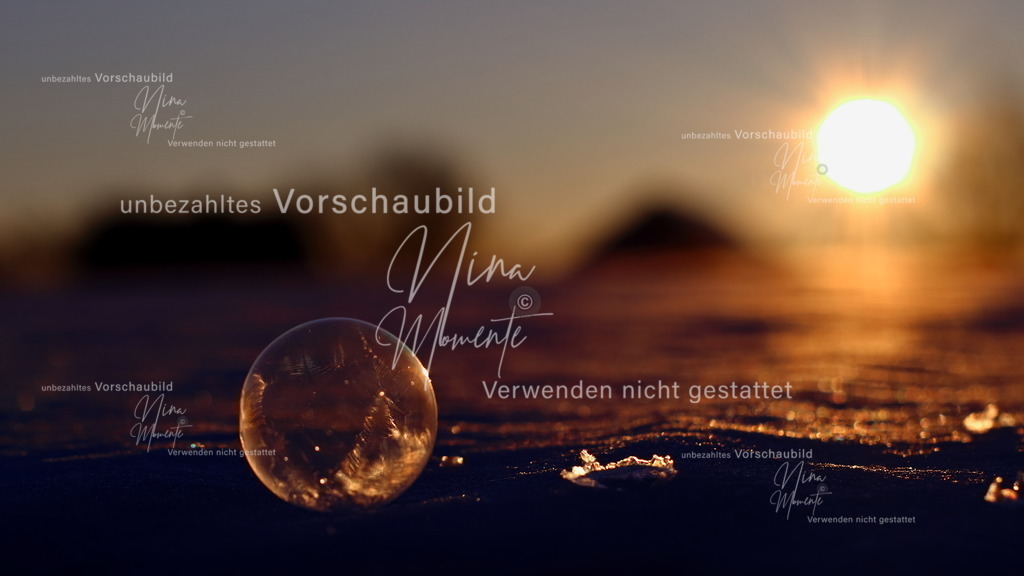 IMG_0860 | Einzigartige Fotos von Hunden & Menschen –Actionfotos, Portraits, Vereinsaufnahmen & Paarshootings – authentisch, lebendig & mit Herz.