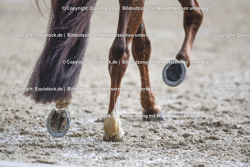 20240519_03_GP-Special-Tour_0113 | Foto: Thomas Hartig