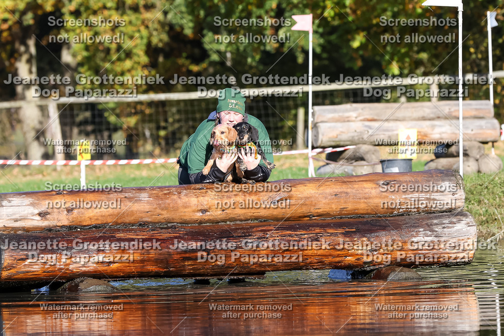 Dog Paparazzi - Strongdog 10-25-8803 | Dog Paparazzi Jeanette Grottendiek Fotografie & Videografie - Realisiert mit Pictrs.com