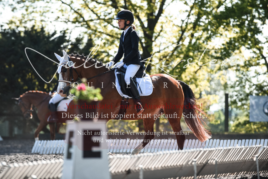 DSC_8724 | Pferde- und Turnierfotografie in Westsachsen. Pferdeportraits, Auftragszeichnungen und intuitive Kunst.
