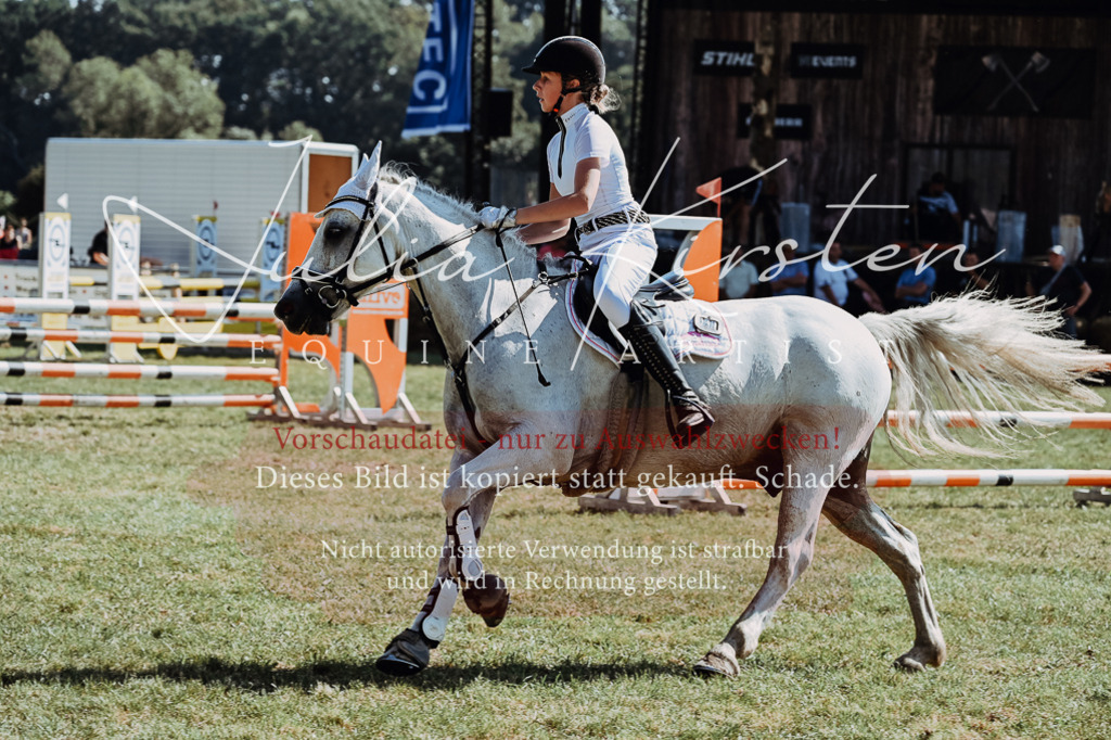 DSC_6083 | Pferde- und Turnierfotografie in Westsachsen. Pferdeportraits, Auftragszeichnungen und intuitive Kunst.