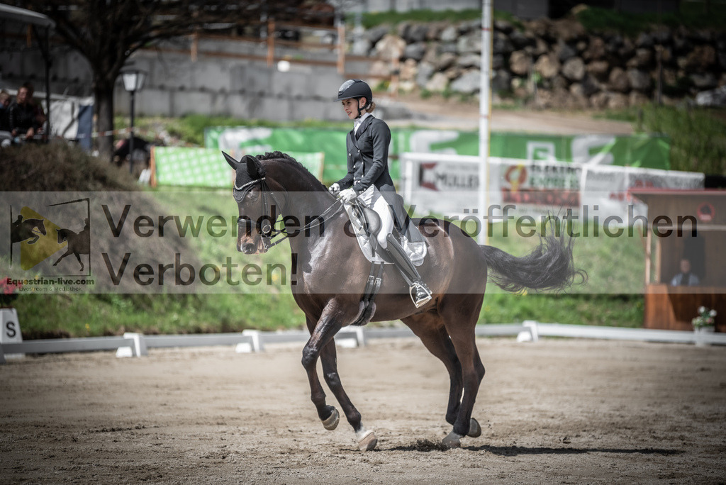DSC_2327 | equestrian-live-com