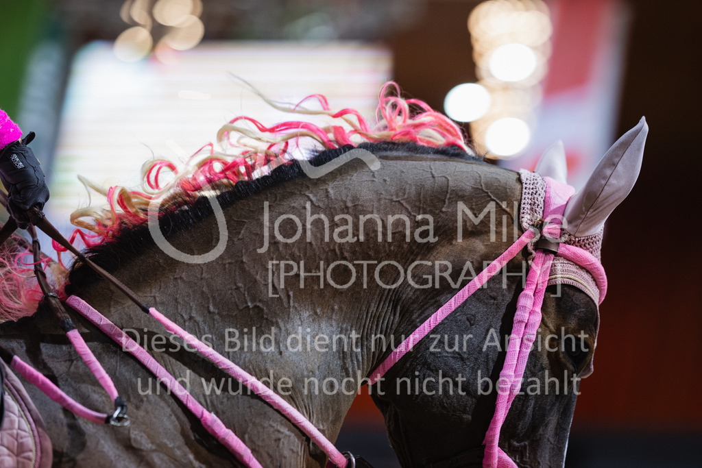 240113_Münster_Kostümspringen-418 | Deine schönsten Turniermomente als professionelle Fotos! Entdecke hochwertige Pferdesport-Fotografie im Online-Shop. Jetzt Fotos finden & bestellen!