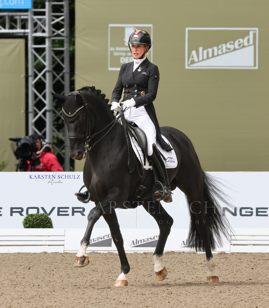 1B3A3997 | Reitsport Reiten