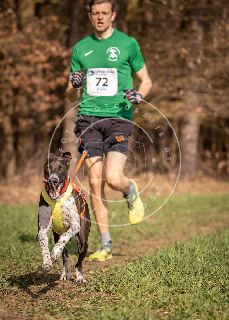 DV3A6211 | Hundefotografie, Tierfotograf, Pfotenfotografie, Fotoshooting Hund, Hunde Portrait, Hundesport, Hundeportraits, Heideshooting, Hunde, Sportfotograf, Hundefotograf, Turnierhundsport, THS,  - Realisiert mit Pictrs.com