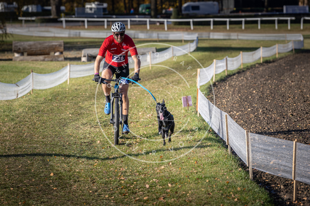 CaniXpix_DV3A3658 | Hundefotografie, Tierfotograf, Pfotenfotografie, Fotoshooting Hund, Hunde Portrait, Hundesport, Hundeportraits, Heideshooting, Hunde, Sportfotograf, Hundefotograf, Turnierhundsport, THS,  - Realisiert mit Pictrs.com
