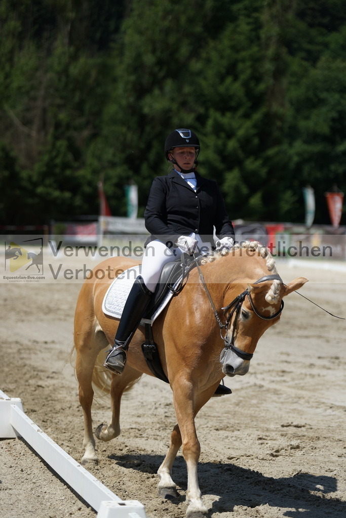 DSC03281 | equestrian-live-com