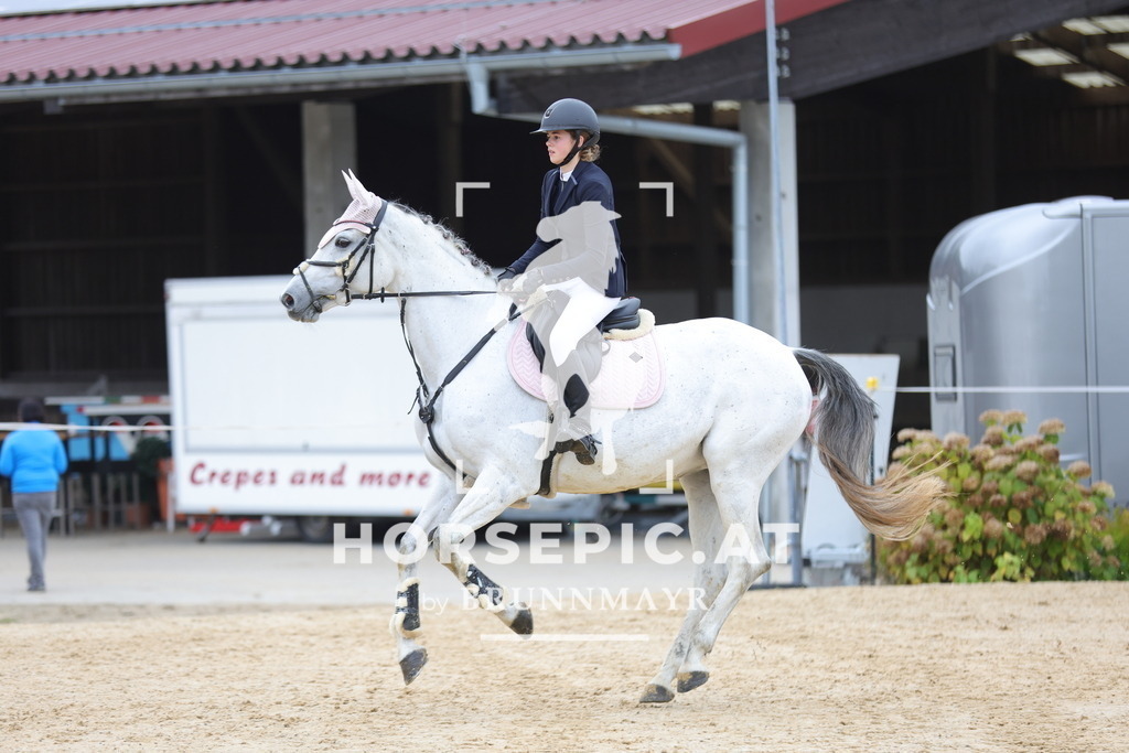 0P6A1276 | Willkommen bei Brunnmayr - Design & Fotografie – Ihrem Spezialisten für Reitturniere und Pferdeveranstaltungen in Oberösterreich, Salzburg und Bayern! Seit über 17 Jahren sind wir leidenschaftlich dabei.