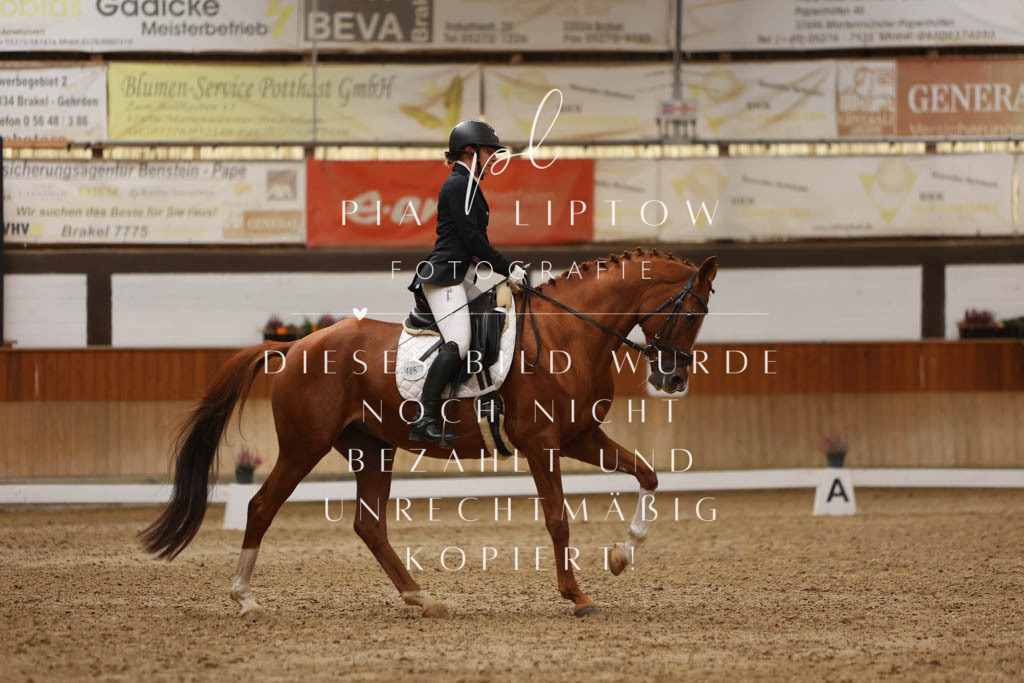 IMGM6198 | pl-fotografie