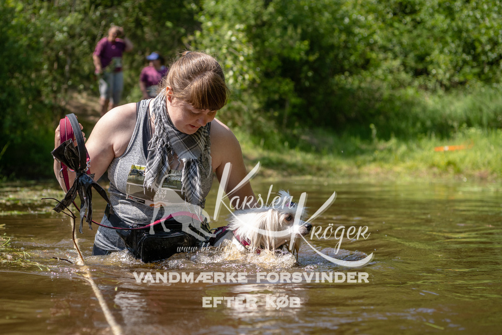 1522DKK993103 | kk-dogfotos