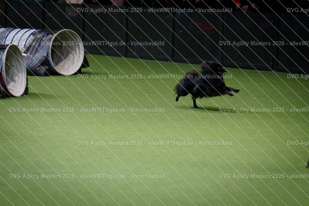 allesWIRTHgut_Tierfotografie-DVG_Agility_Masters_2026-13_49-7R500067 | Professionelle Tierfotografie in Mönchengladbach von Daniel Wirth (allesWIRTHgut). Liebevolle & natürliche Bilder von Hunden & Katzen für unvergessliche Erinnerungen.