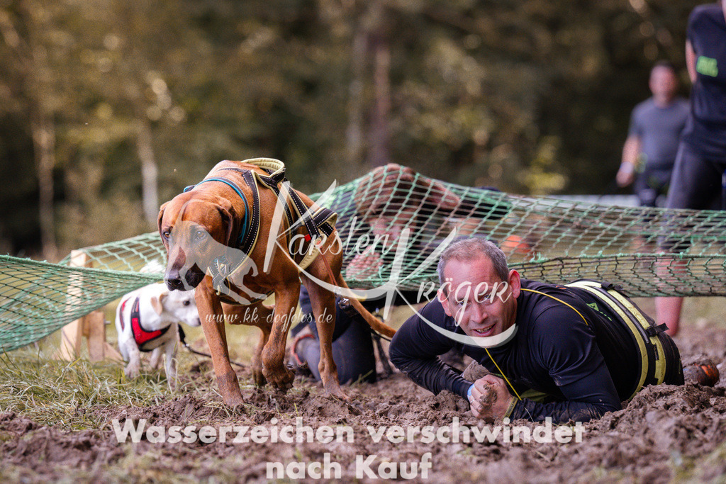 1252_ZZ91511 | kk-dogfotos