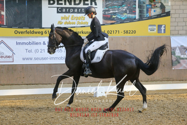 IMG_2569 | Turnierfotos kaufen im Webshop von Daniel Kuhl Photography – entdecke professionelle Reitsportfotos aus Turnieren & Events. Hochwertige Turnierbilder online bestellen & sichern. Jetzt Fotos von Reitsportturnieren kaufen!