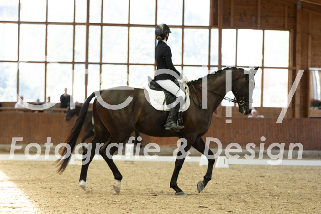 IMG_5071 | Creatify Fotografie