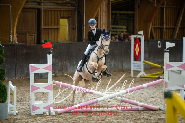 IMG_1778 | Turniersportfotografie; Pferdefotografie; Dressurfotografie