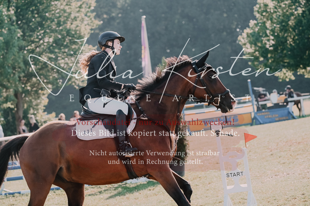 DSC_4539 | Pferde- und Turnierfotografie in Westsachsen. Pferdeportraits, Auftragszeichnungen und intuitive Kunst.