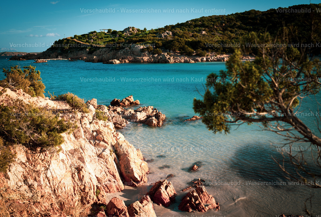 DSC09234 | marcuslinek