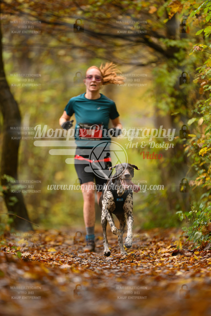 MompixPhotography_CD7S_DI_CCL-40 | mompixphotography