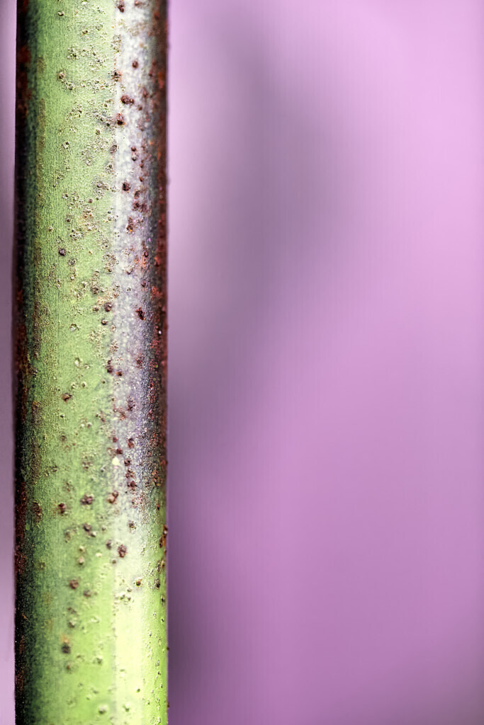 O.T. 2 | Ich erzähle Geschichten als Autor und als Fotograf. Hier finden Sie hochwertige Naturfotografie, Reisefotografien und Bilder aus dem urbanen Lebensraum.  - Realisiert mit Pictrs.com