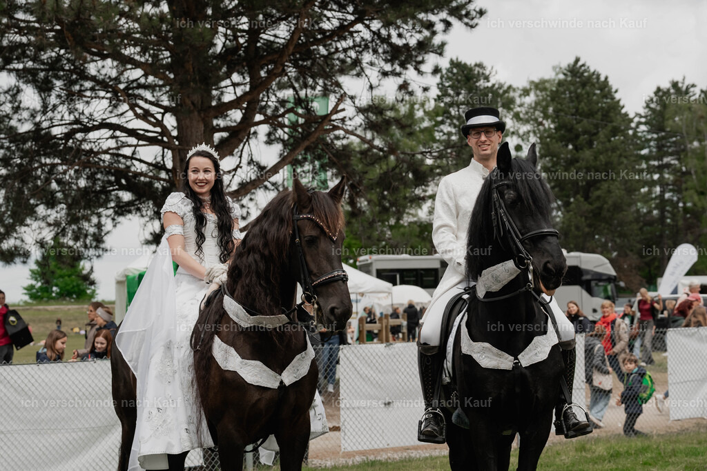 Showprogramm-207 | working equitationturnier fotograf videograf stoibphotography marixx film working equitation deutschland reitsport turnierfotografie eventfotografie equestrian events