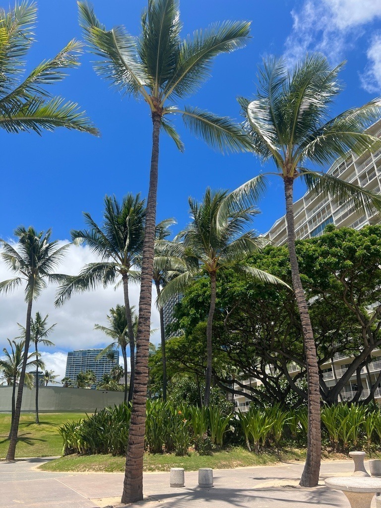 IMG_7816 | ace - Realisiert mit Pictrs.com