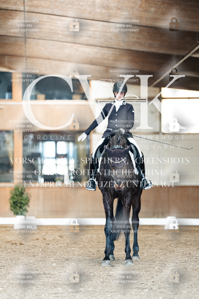 CK901545 | Turnierfotografie Pferdefotografie Trier Rheinland-Pfalz Pferdesport Reitsport Tierfotografie Sportfotografie Pferdevideo Pferdevideografie Equestrianvideography equestrianphotography  - Realisiert mit Pictrs.com