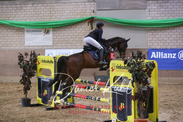 IMG_0687 | Turnierfotos kaufen im Webshop von Daniel Kuhl Photography – entdecke professionelle Reitsportfotos aus Turnieren & Events. Hochwertige Turnierbilder online bestellen & sichern. Jetzt Fotos von Reitsportturnieren kaufen!