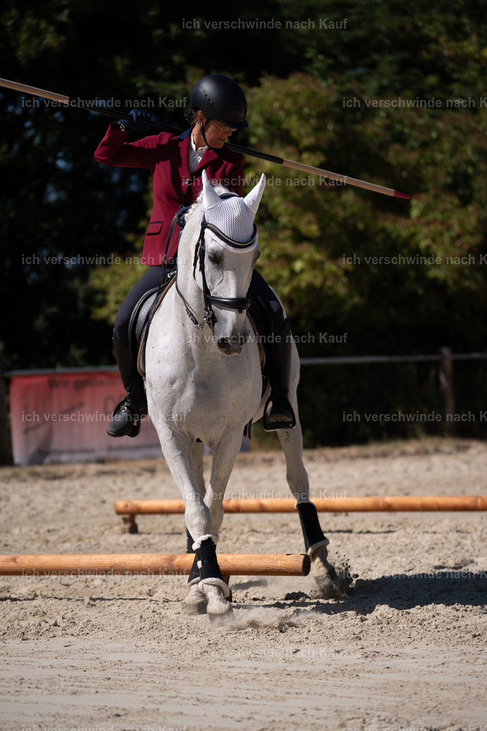 WS_ST_57_stoibphotography_SO11589 | working equitationturnier fotograf videograf stoibphotography marixx film working equitation deutschland reitsport turnierfotografie eventfotografie equestrian events