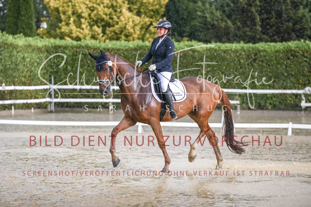 Schugtsche-Aluta25-54.Dressurprf.L1Trense-60 | Schugtsche Fotografie - Realisiert mit Pictrs.com