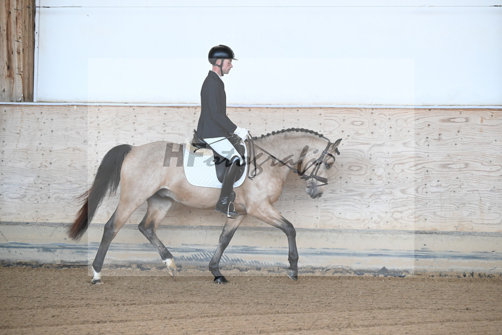 Kat-Nr. 11 Magnus HL v. Mescal_ZG Donau-Ries_43250001 | hf-fotografie - Realisiert mit Pictrs.com