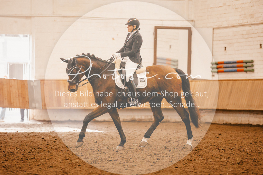 3I6A2423 | Stimmungsvolle Portraits und Reitsportfotografie im Ruhrgebiet und im Münsterland.

Pferdefotografie, Hundefotografie, Tierfotografie, Reportagen, Portraits von Tier und Mensch, Turnierfotografie in Bochum, Recklinghausen, Marl, Haltern am See, Dülmen.. - Realisiert mit Pictrs.com