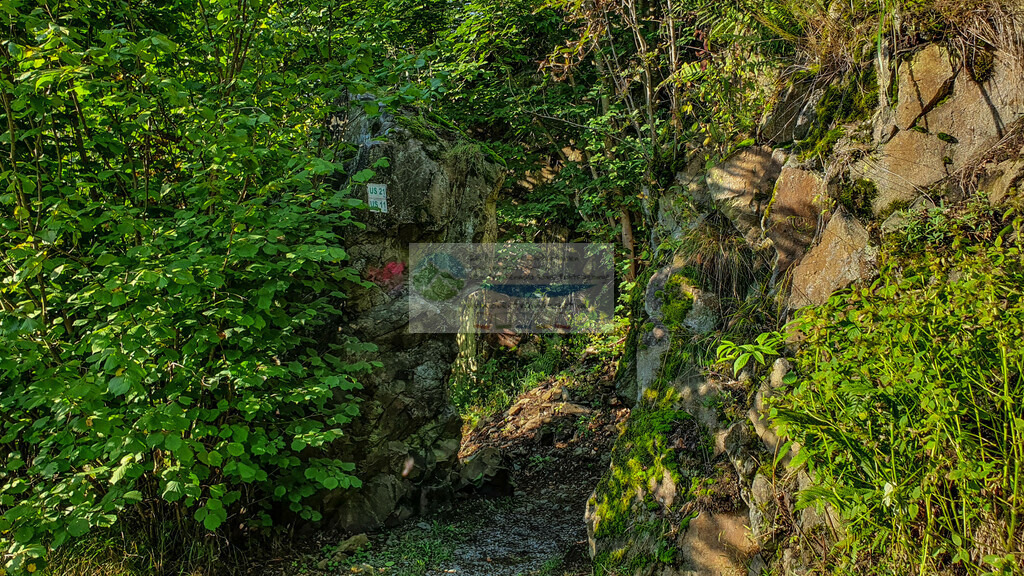 Höllental Sommer | Impressionen rund um Hochfranken - Frankenwald - Fichtelgebirge - Realisiert mit Pictrs.com