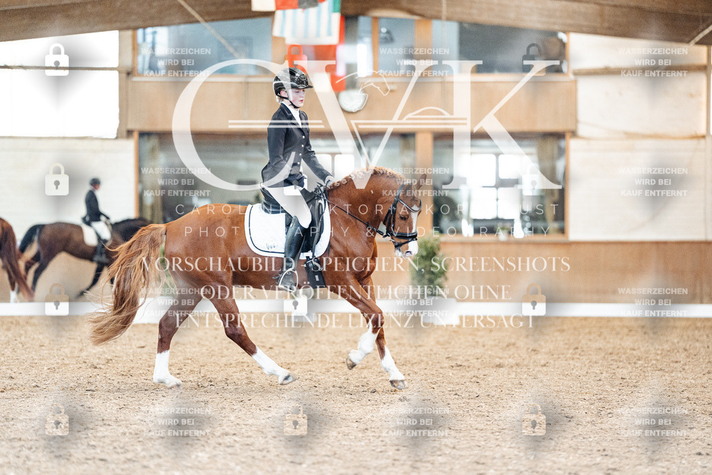 CK908966 | Turnierfotografie Pferdefotografie Trier Rheinland-Pfalz Pferdesport Reitsport Tierfotografie Sportfotografie Pferdevideo Pferdevideografie Equestrianvideography equestrianphotography  - Realisiert mit Pictrs.com