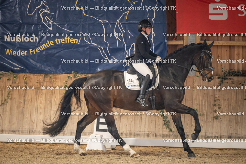 _D5A8745 | Emotionale Pferde- & People-Fotografie rund um Heidelberg, Leimen & Umgebung. Natürliche Fotos von Pferd, Mensch & Familie. Jetzt Termin sichern!