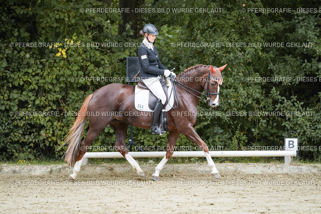 DSC09873 | Pferdegrafie