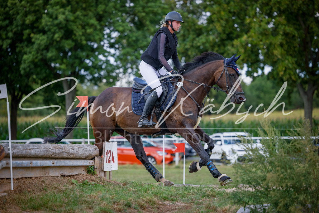 20250905-_3LI0460 | Tierfotografie Pferde, Hunde, Katzen, Haustiere.
Turnierfotografie Reitturniere, Reiten, Springreiten, Dressur in Hanau, dem Main-Kinzig-Kreis und dem Rhein-Main- Gebiet um Frankfurt