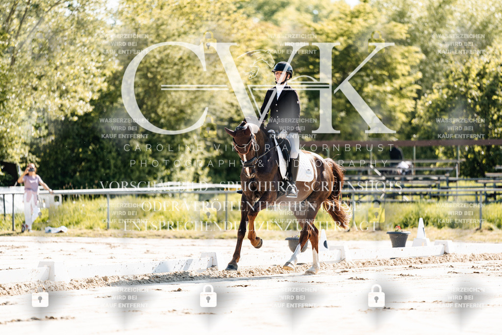 CK909096 | Turnierfotografie Pferdefotografie Trier Rheinland-Pfalz Pferdesport Reitsport Tierfotografie Sportfotografie Pferdevideo Pferdevideografie Equestrianvideography equestrianphotography  - Realisiert mit Pictrs.com