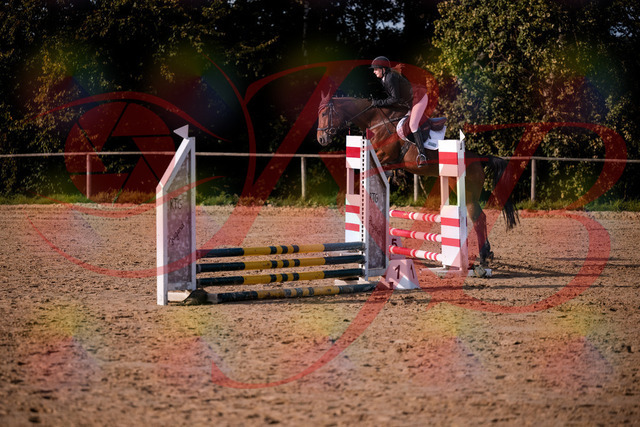 2026_10_03_Siefer-Hof_161048_Z81_90483114 | Professionelle Reitsport-, Turnier- und Eventfotografie von Robert Broda. Galerien mit ausgewählten und bearbeiteten Bildern direkt online ansehen und bestellen.