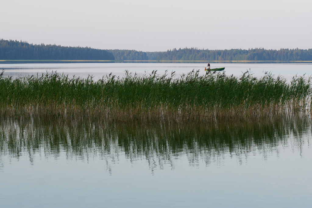 Nationalpark Žemaitija; Morgenstimmung am See | Plateliai, Litauen - August 17, 2022: Nationalpark Žemaitija; Morgenstimmung am See. - Realisiert mit Pictrs.com