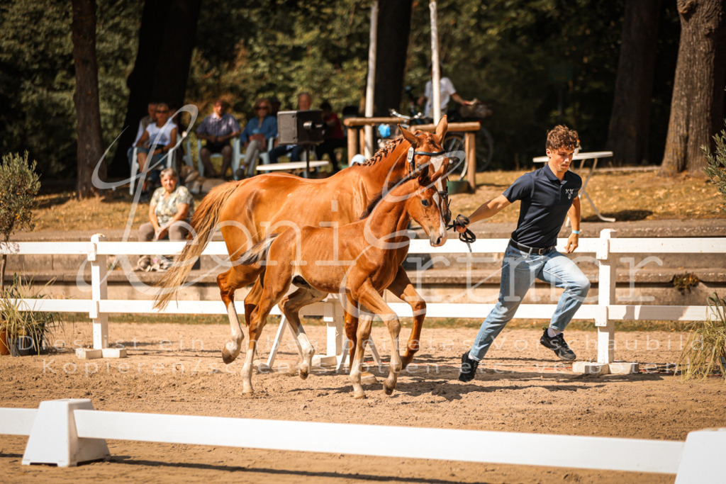 07.DoWBS00127 | Leoni Ertmer Photography - Realisiert mit Pictrs.com