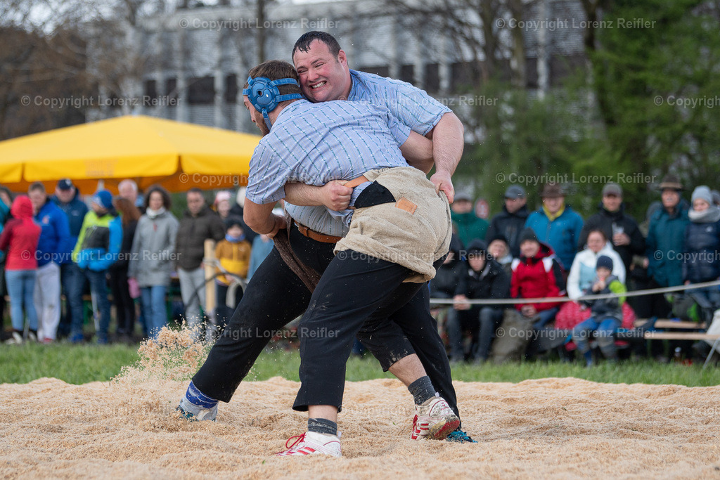 Schwingen -  Rheintal-Oberländer 2024 | Trübbach, 24.3.24, Schwingen - Rheintal-Oberländer.