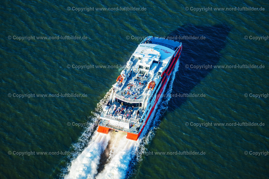 Brunsbüttel_Anleger_Halunder_Jet_FRS_Fähren_ELS_4536280824 | BROKDORF 28.08.2024 Fährschiff " Halunder Jet " auf der Elbe in Glückstadt im Bundesland Schleswig-Holstein, Deutschland. // Ferry ship " Halunder Jet " on the Elbe in Glueckstadt in the state Schleswig-Holstein, Germany. Foto: Martin Elsen