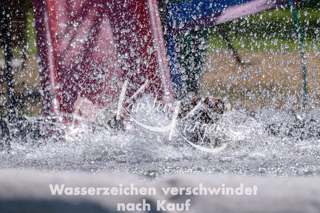1418_ZZ94312 | kk-dogfotos