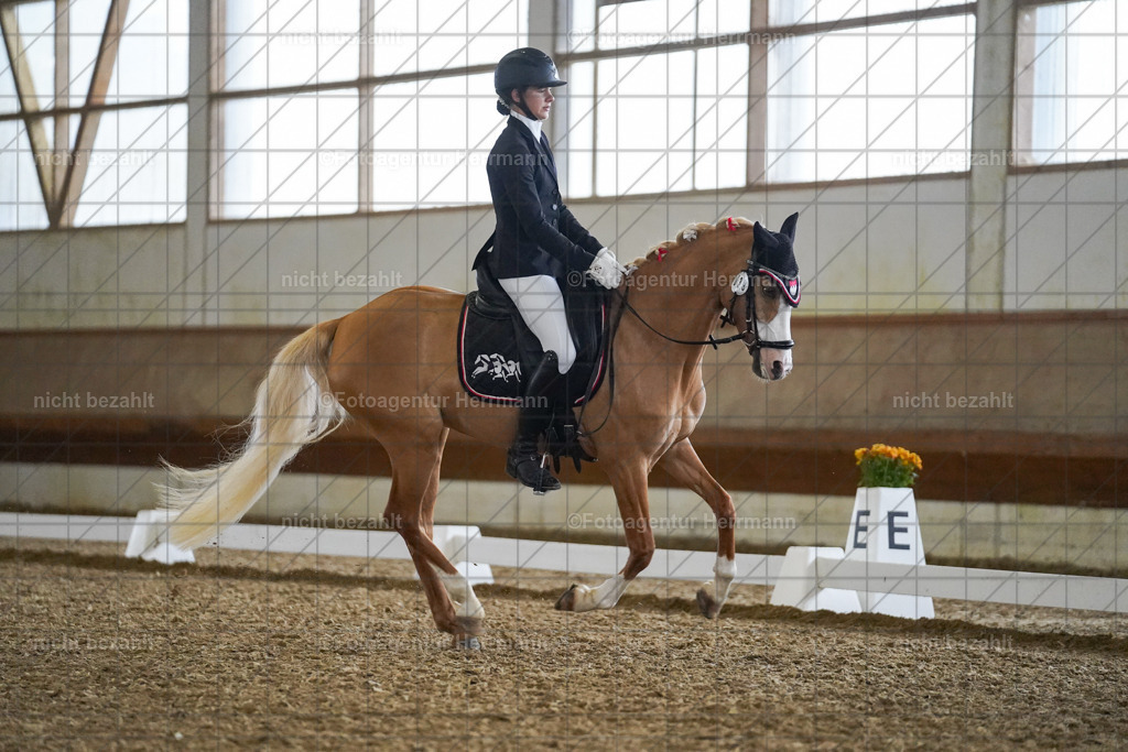 20240825-FAH09170 | Turnierbilder, Reitsportfotos, LAPO, Landesponyturnier, Turnierfotografen Bayern